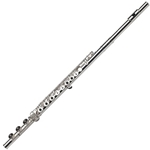 33SB Flute Outfit . Gemeinhardt
