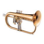 846RL Flugelhorn Outfit . Jupiter