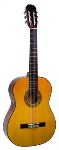 AC440N Dreadnought Classical Guitar w/o Case . Austin