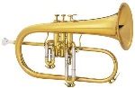 2020 "Legend" Flugelhorn Outfit . King