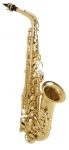 AS42 Alto Saxophone Outfit . Selmer