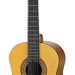 Takamine JS441 Jasmine Classical Guitar with Case