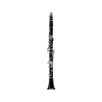 BC1221-2-0P Gala A Clarinet Outfit . Buffet