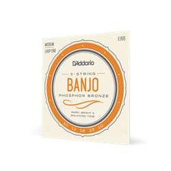 EJ55 Banjo String Set (5 string, phosphor bronze) . D'Addario