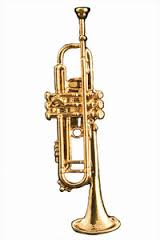 Harmony FPP545G Trumpet Pin (gold)